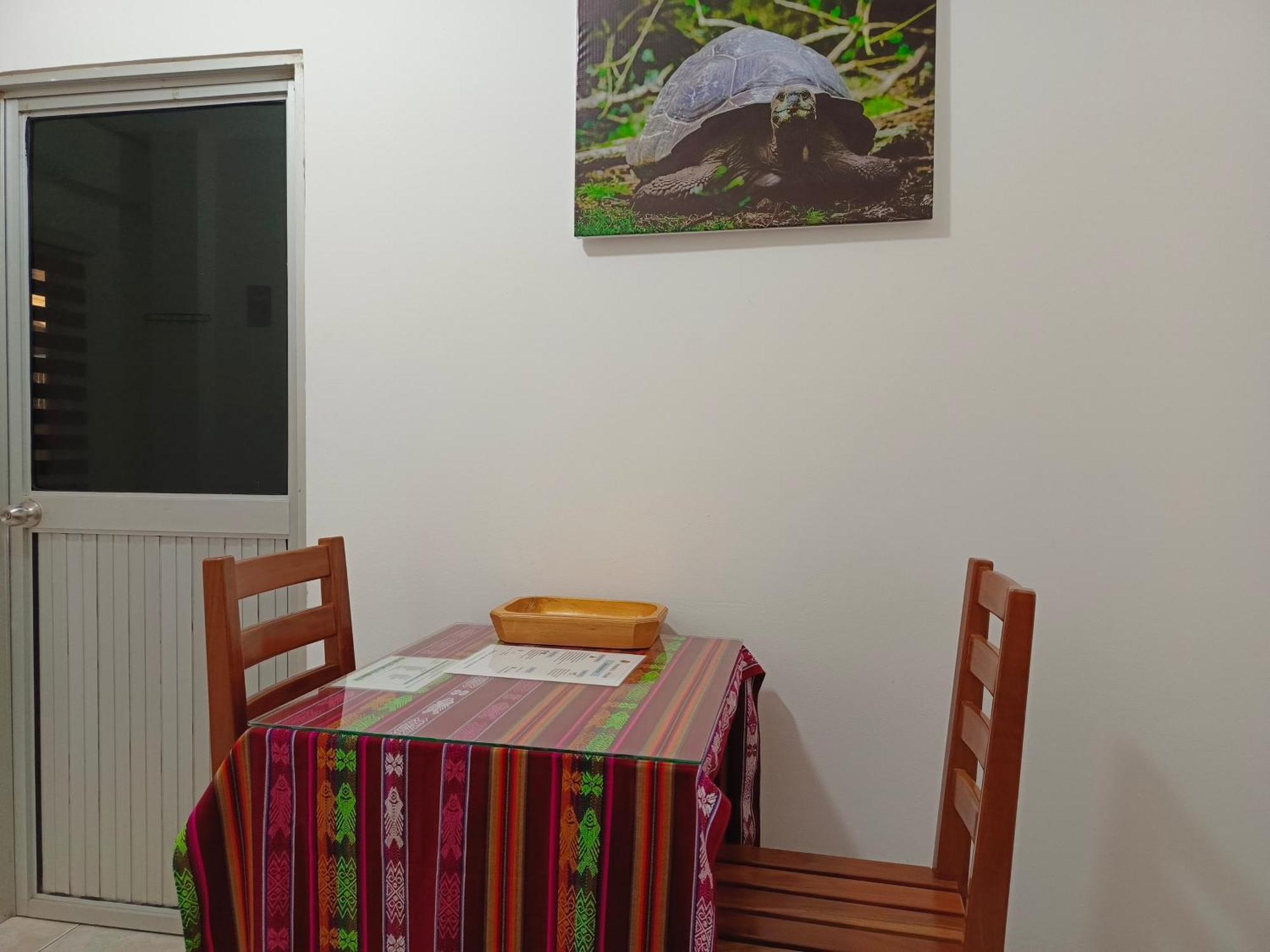 Teresita'S House Suites Con Cocina Privada プエルト・バケリソ・モレノ エクステリア 写真